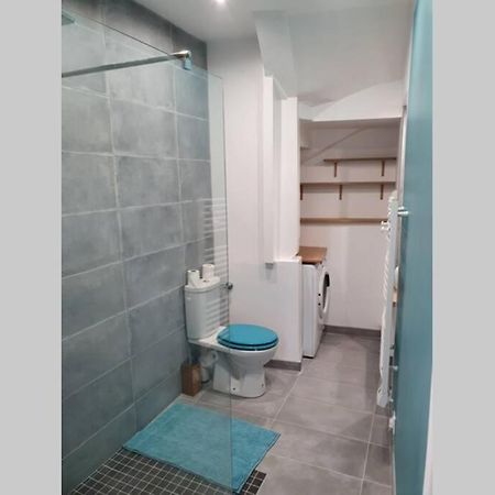 Logis Du Magny, 5 Min A Pied Du Chateau D'アンボワーズ エクステリア 写真
